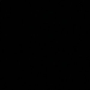 Meet your Posher, Jennie